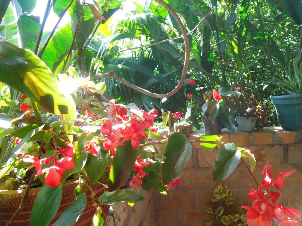 Hostal Pachamama San Agustín Exterior foto